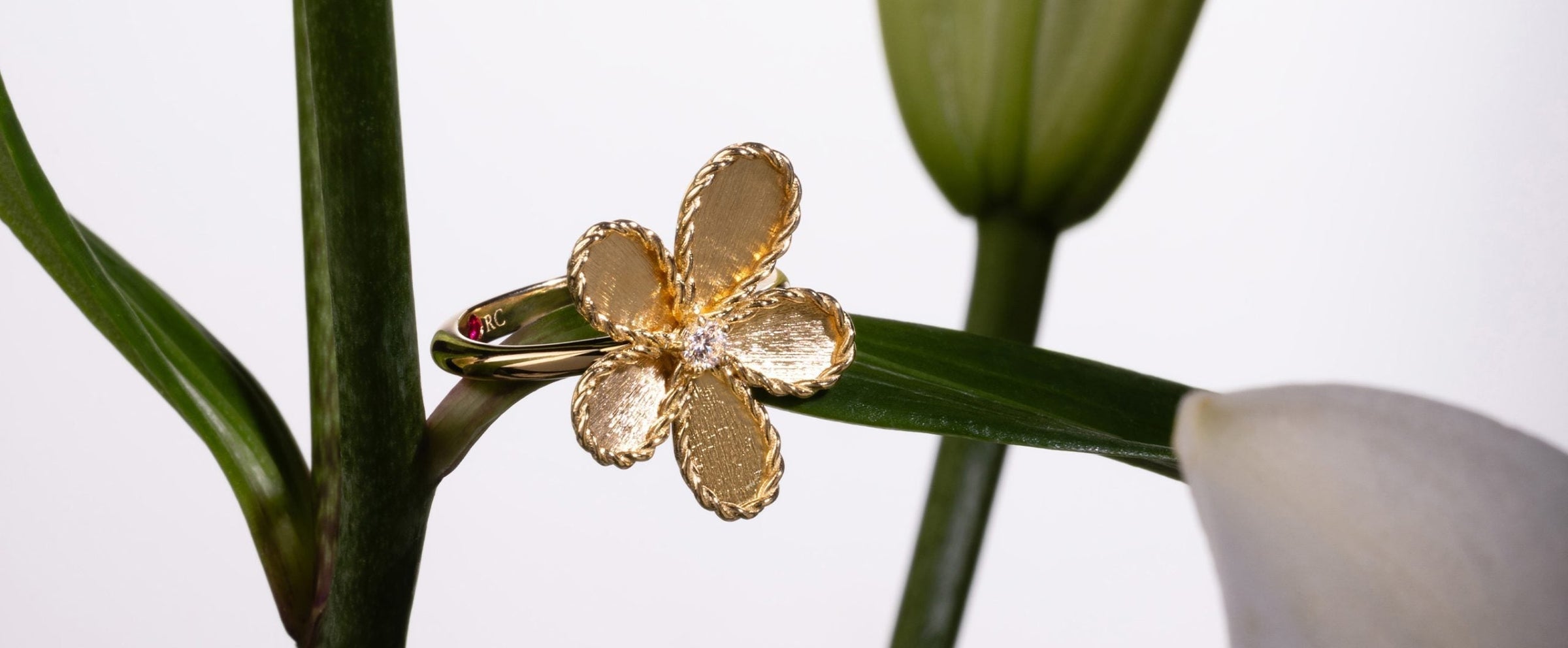 roberto-coin-jasmine-COVER
