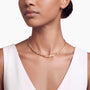common:model