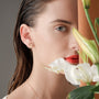common:model